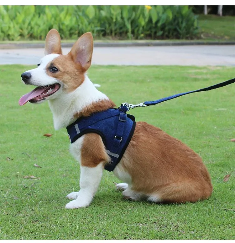 Adjustable Corduroy Mesh Warm Walking Dog Cat Harness Vest with Leash