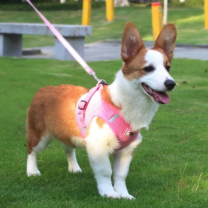 Adjustable Corduroy Mesh Warm Walking Dog Cat Harness Vest with Leash