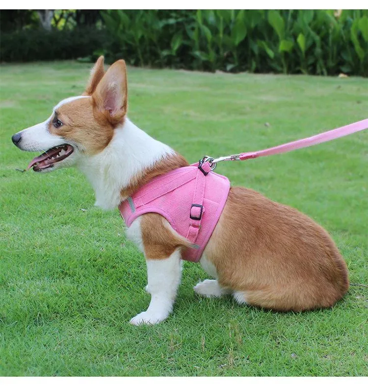 Adjustable Corduroy Mesh Warm Walking Dog Cat Harness Vest with Leash