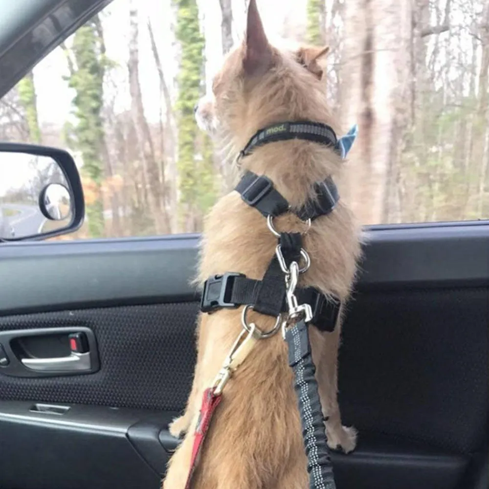 Adjustable Dog Seat Belt Dog Car Seatbelt Harness Leads Elastic Reflective Safety Rope