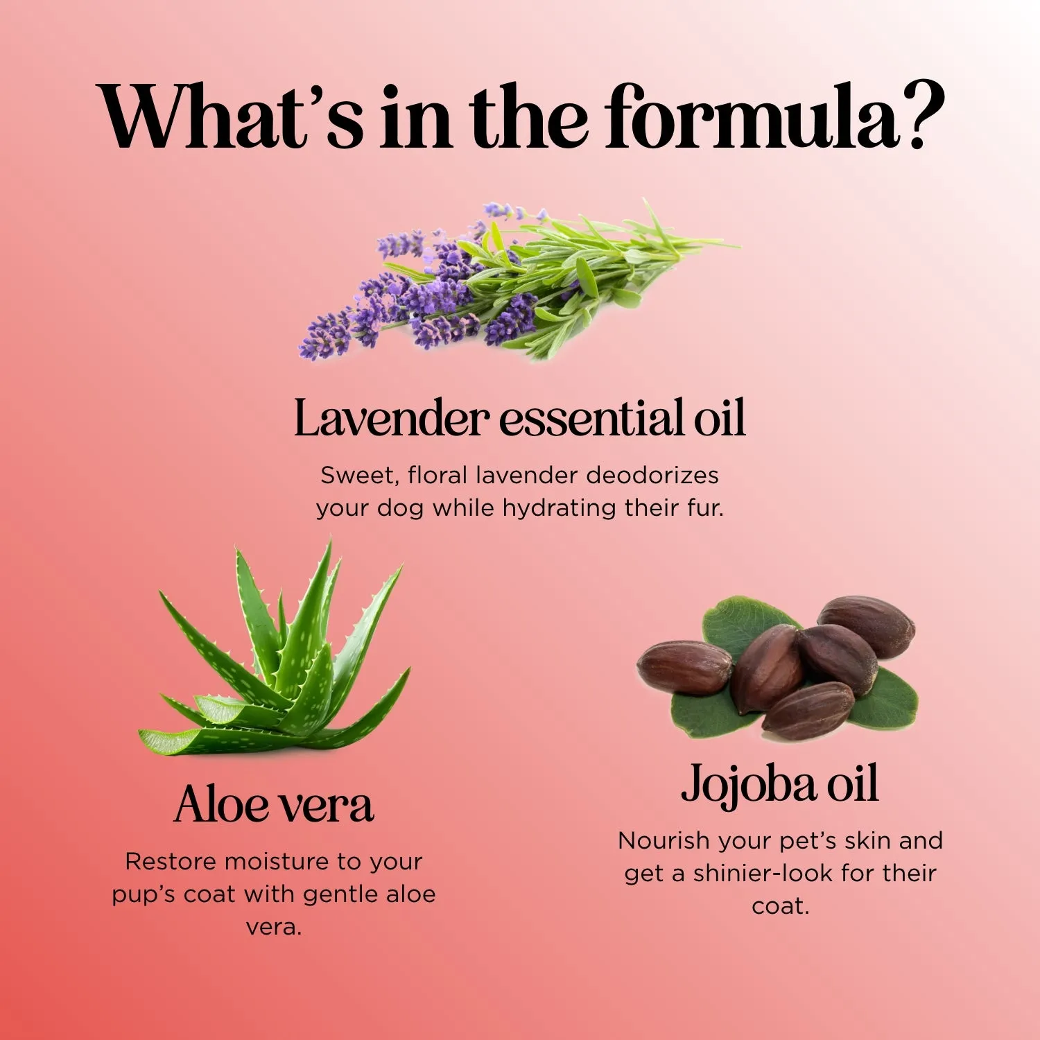 Aloe Vera & Lavender Vanilla Oatmeal Dog Shampoo
