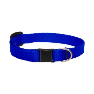 Blue Breakaway Collar