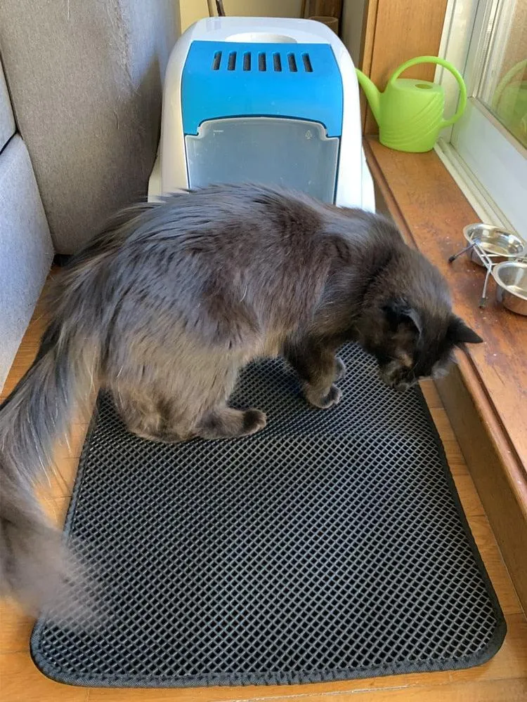 CAT LITTER MAT