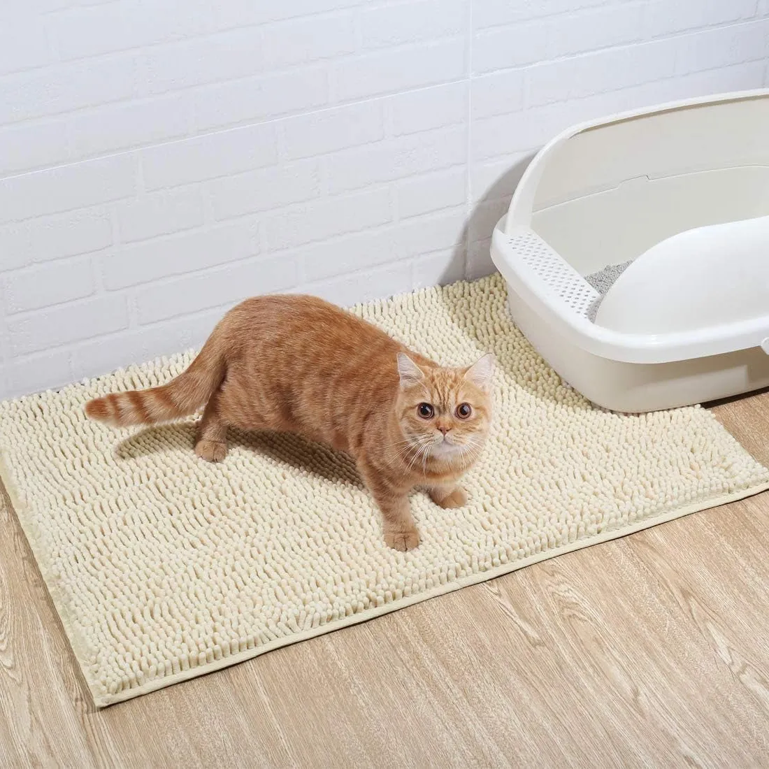 Cat Litter Trapping Mat