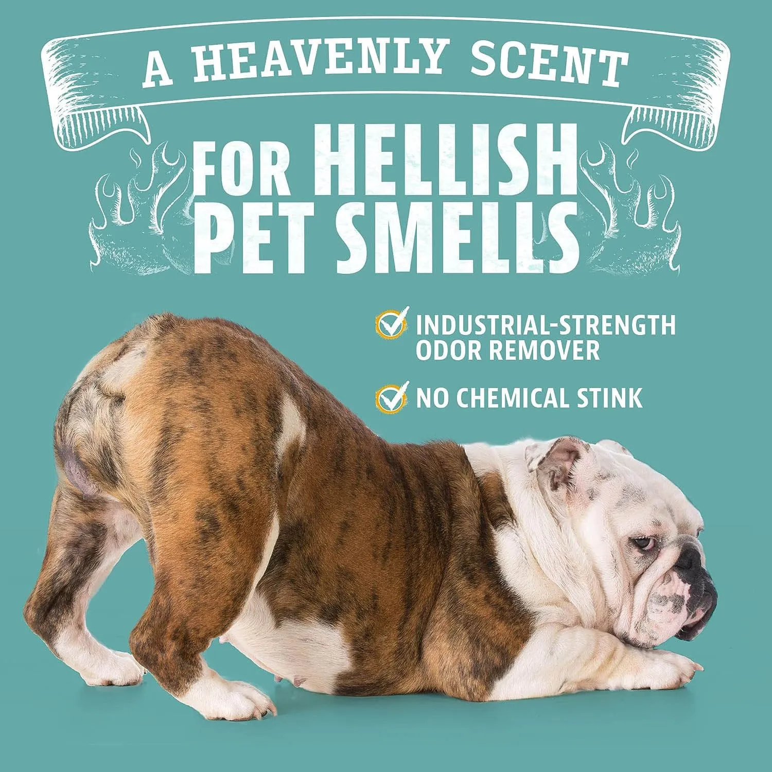Complete Odor Elimination Pack