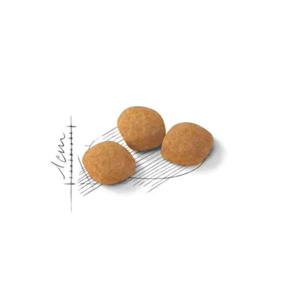 FHN Feline Preference Protein Exigent for Adult Cat Dry Food