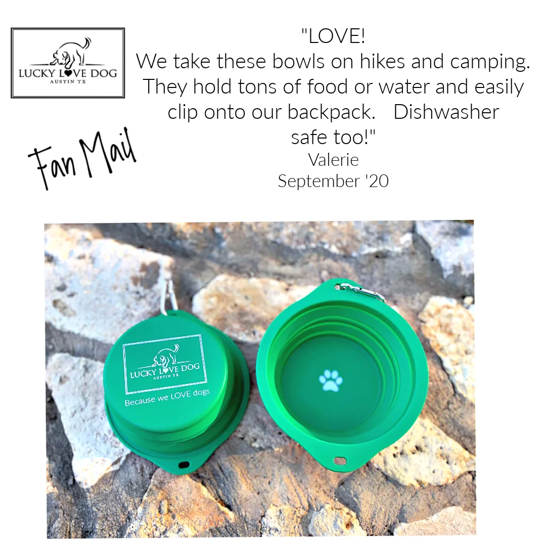Grass Green Travel Dog Bowl