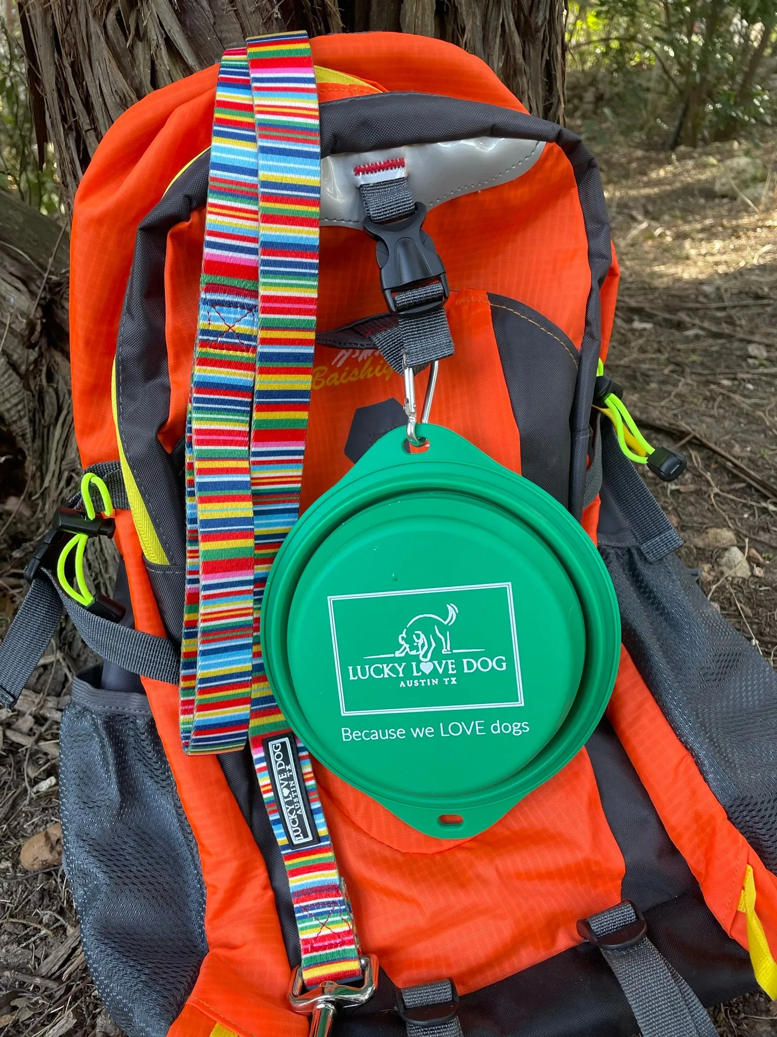 Grass Green Travel Dog Bowl