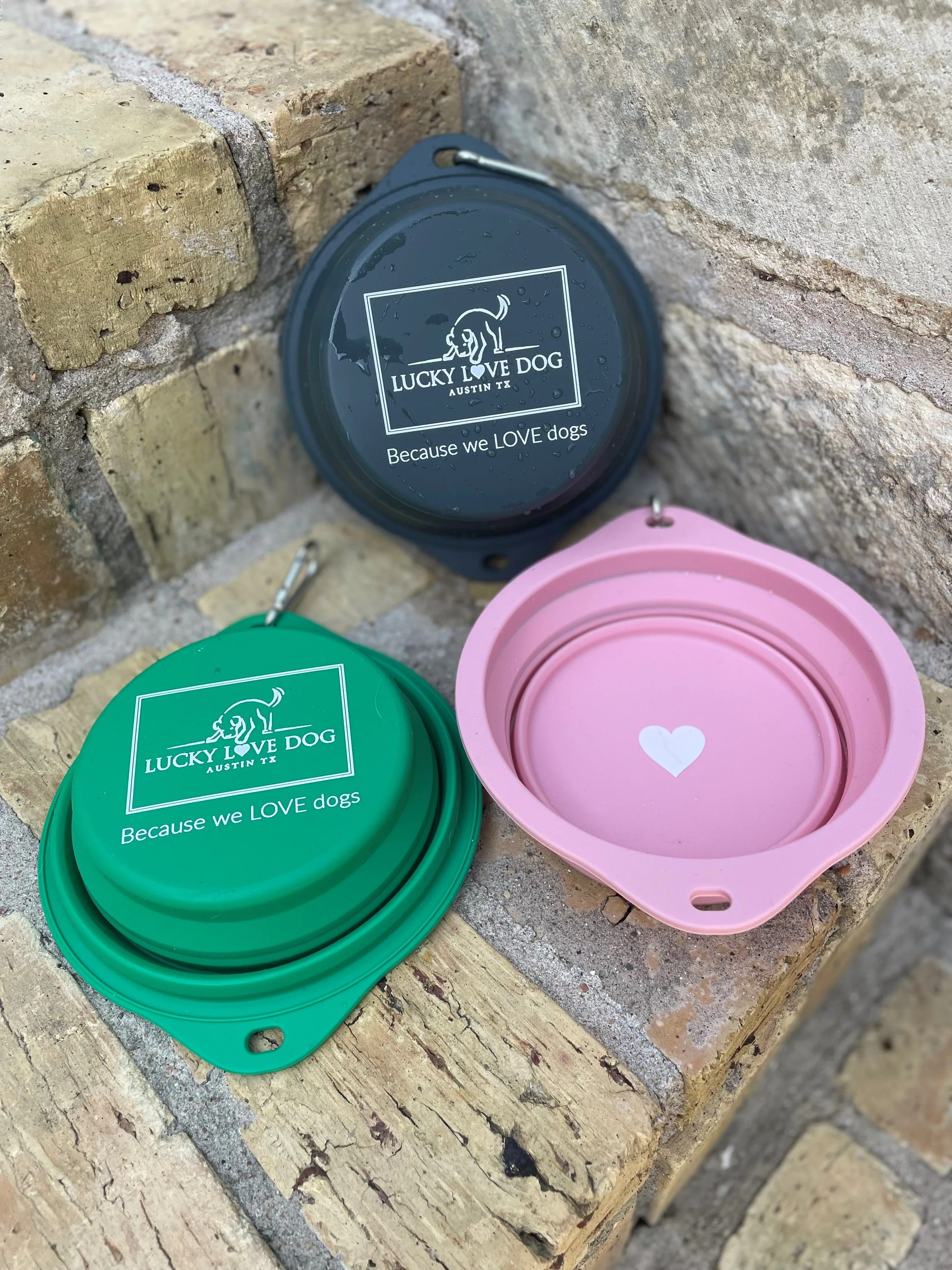 Grass Green Travel Dog Bowl