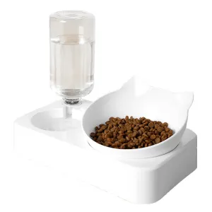 Pet Food And Water Dispenser