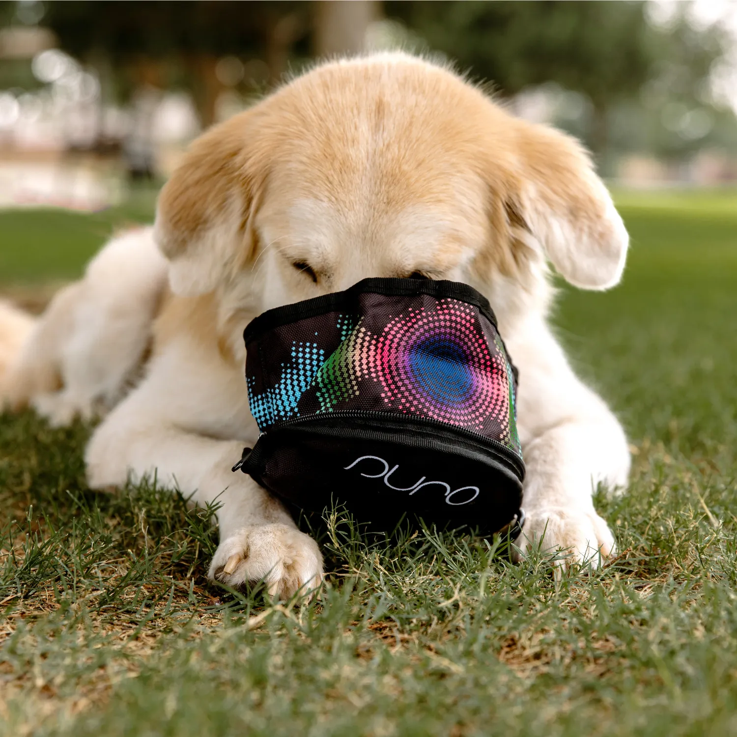 PuroPup Travel Bowl