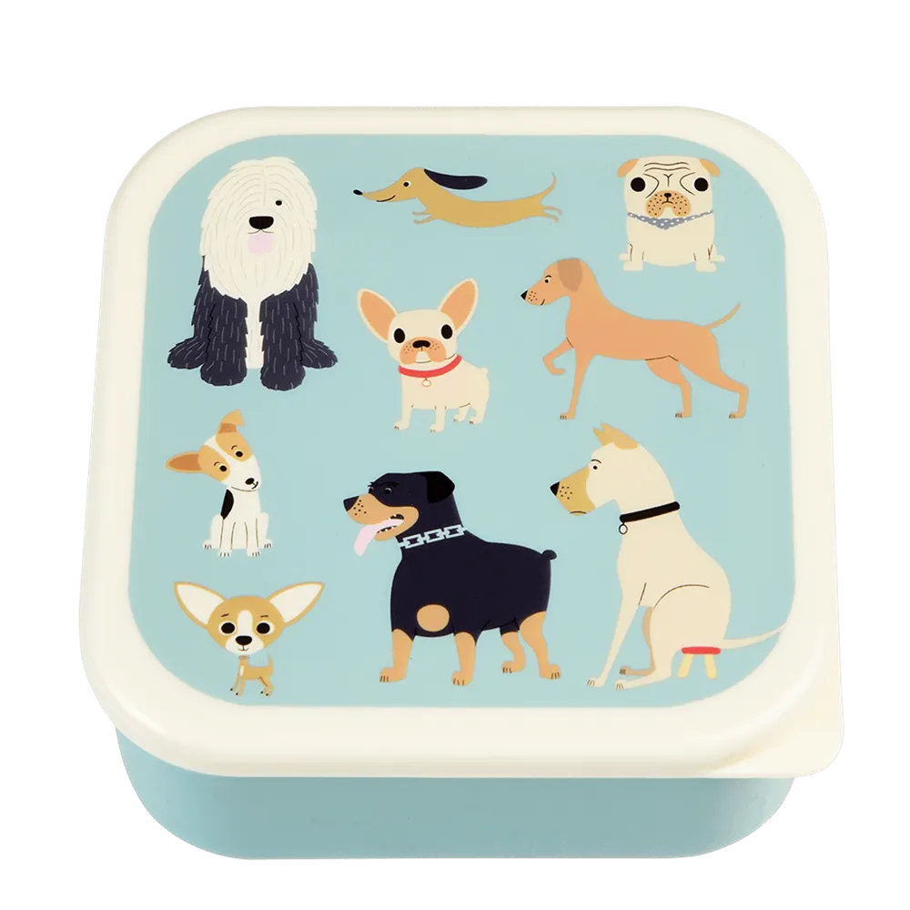 Rex London: Snack Boxes Set of 3 Best in Show