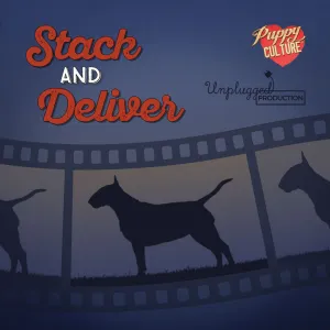 Stack and Deliver