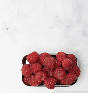 Stainless Steel Tiny Tin