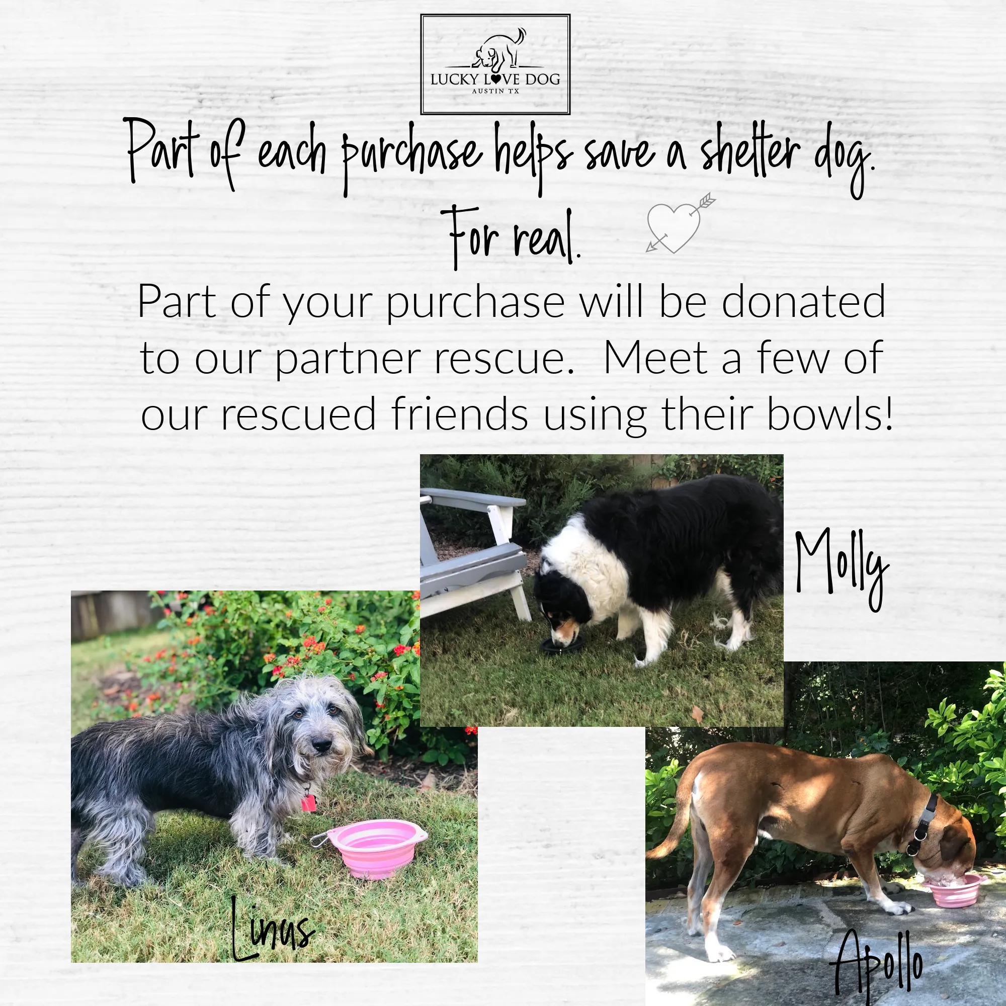 Steel Grey Travel Dog Bowl