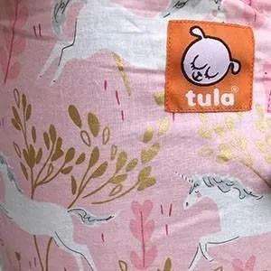 Tula Baby Carrier Standard - Frolic